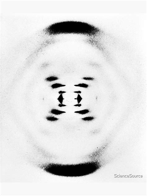 "Rosalind Franklin's B-Form x-ray of DNA, 1952, Diffraction Photo" Photographic Print by ...