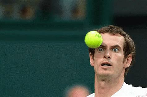 Googly Eyes GIF - AndyMurray TennisBall Stare - Discover & Share GIFs