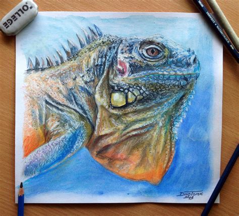 Lizard Color pencil Drawing by AtomiccircuS on DeviantArt