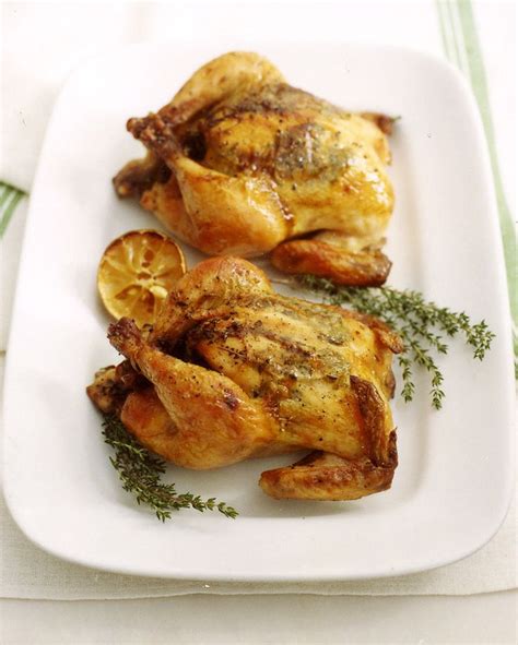 Cornish Hens with Lemon and Herbs Recipe | Recipe | Cornish hens, Herb recipes, Cornish hen recipe