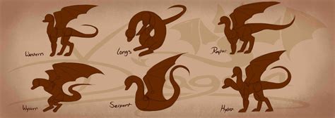 Dragon Body Types Chart by VDragon-Creations on DeviantArt