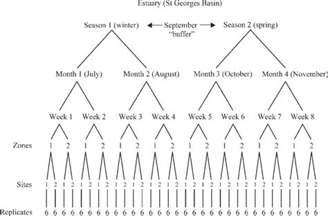 Diagrammatic representation of hierarchical scales sampled, with... | Download Scientific Diagram