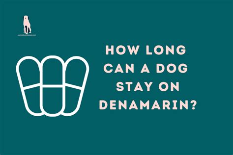 Denamarin For Dogs Side Effects Dosage, and More - Canine Liver Disease ...