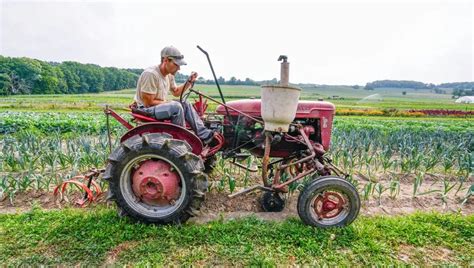 Want to be an organic vegetable farmer?