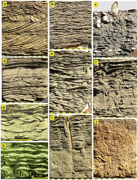 18 Internal sedimentary structures typical for tidal flat deposits. ( a ...