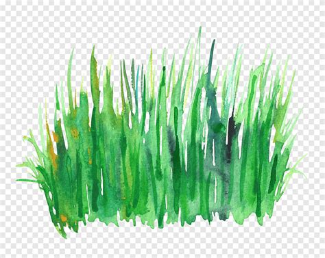 Green grass painting, Green Watercolor painting, Watercolor grass, watercolor Leaves, plant Stem ...