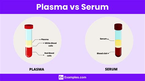 Plasma vs Serum - Key Differences Explained