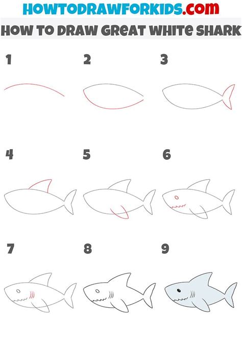 how to draw great white shark step by step | Shark drawing, Drawing tutorial easy, Great white ...