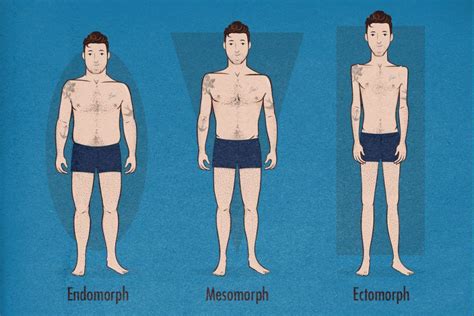 How to Tell If You're an Ectomorph, Mesomorph or Endomorph Body Type ...