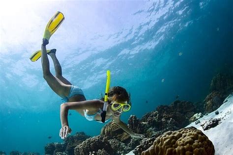 Escambrón Marine Park Snorkeling Tour | Puerto Rico, Caribbean