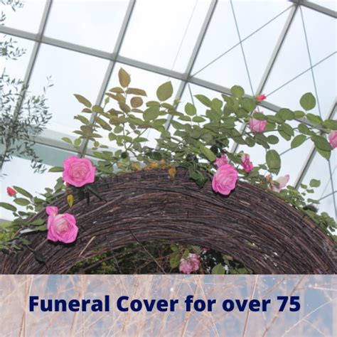 Funeral Cover for over 75 Grandparents - Life Insurance For Seniors Over 80 Without Medical Exam