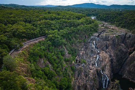 14 Best Rainforest Walks Near Cairns - Cairns-Tours