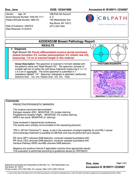 Breast Pathology | CBLPath