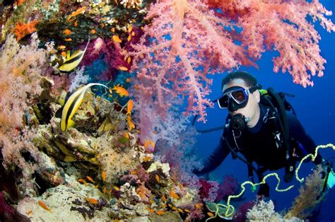 22 Best Scuba Diving Destinations in the World - FREEYORK