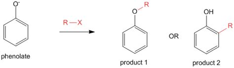 Phenolates- O-alkylation and C-alkylation | Notes | PharmaXChange.info