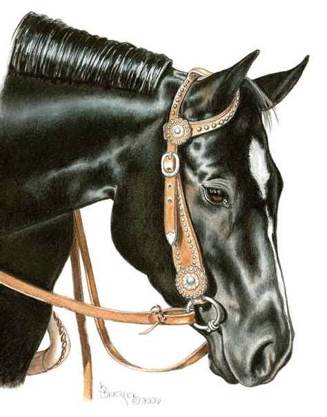 Black Quarter Horse Mare Portrait in Colored by BrucknerCowboyArt