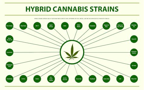 What is Hybrid Cannabis? Everything you need to know in 2022 - WestCannaBC