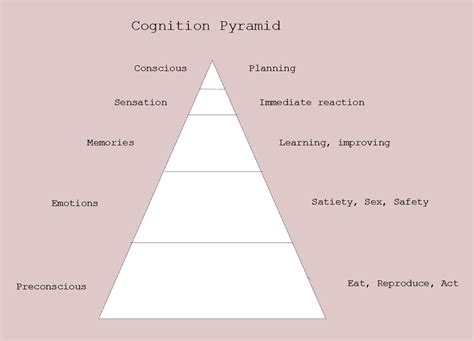 Cognition: All We Can Think - Mental Construction