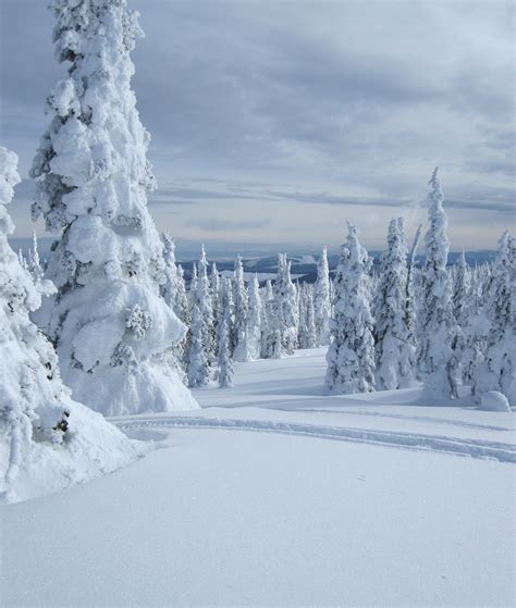 Winter Wonderland near Cranbrook, BC