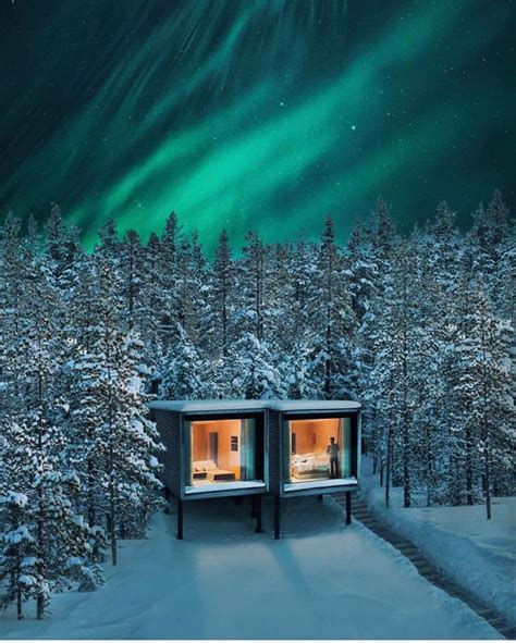 Arctic TreeHouse Hotel provides a unique blend of luxury comfort in the heart of Arctic nature ...