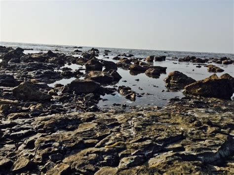 Rangaon Beach (Vasai) - 2020 What to Know Before You Go (with Photos ...