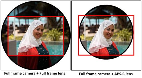 Sony Digital Camera Lenses- The Best Picks Ehab Photography