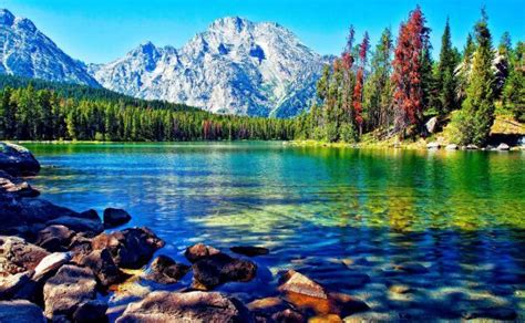 Beautiful lake mountain forest desktop wallpapers 1920x1200. | Scenery ...