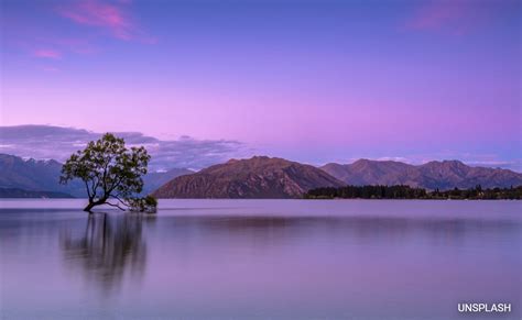 Canada's Last Chance Lake Has Clues To Origin of Life On Earth: Study