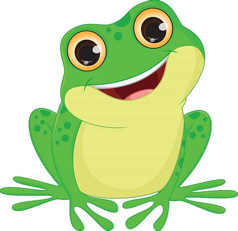 Frog Clip Art, Vector Images & Illustrations - iStock