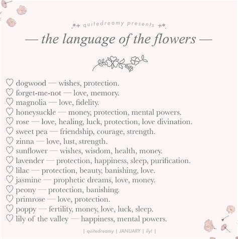 nature flowers soft aesthetic coquette pink Writing Words, Writing Tips, Writing A Book, Writing ...