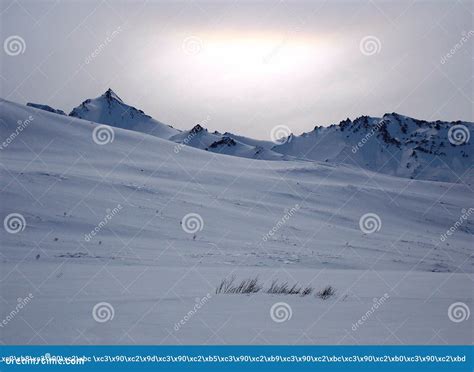 The Wildlife of Kamchatka. Kamchatka Mountains. Kamchatka Peninsula ...