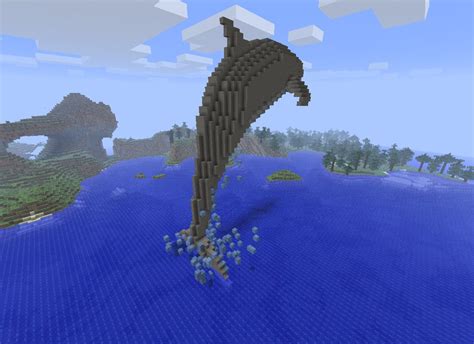 DOLPHIN! Minecraft Project