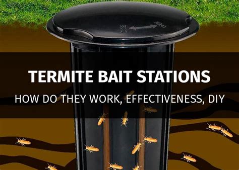 The 5 Best Termite Bait Stations: Detailed Review (2019)