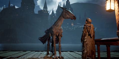 Hogwarts Legacy Digital Deluxe Edition Pre-Order Bonuses Include 2 Exclusive Mounts