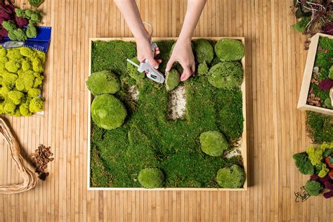 How to Make Your Own Moss Wall - SuperMoss