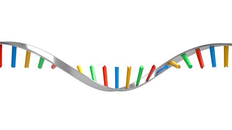 Scientists Say: RNA