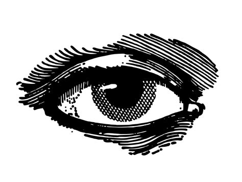 Hand Drawn Eye Vector (SVG, PNG) | OnlyGFX.com