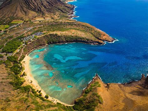 Hanauma Bay Arial Reef Picture | Oahu beaches, Oahu, Hawaii things to do