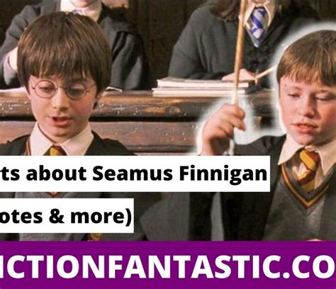 21 Odd Facts About Seamus Finnigan (Traits, Quotes & More) – Fiction ...