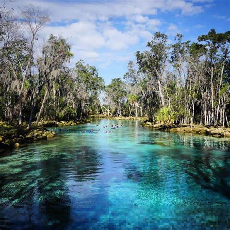 Crystal River Wildlife Refuge @travelingjones | Places.Travel