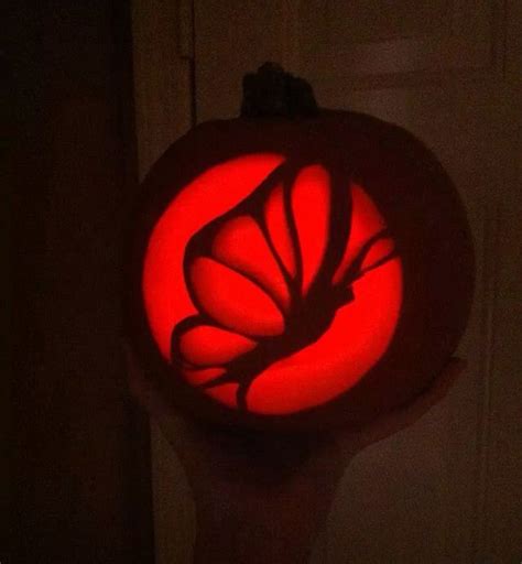 Pumpkin carving fun. Butterfly | Cute pumpkin carving, Pumpkin carving ...