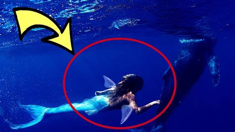 Real mermaid caught on camera underwater in ocean | by Wonder Discovery - YouTube