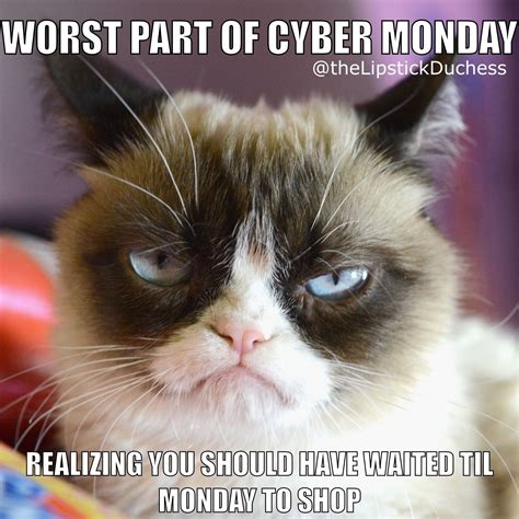 Duckens Knifenson | Funny grumpy cat memes, Grumpy cat humor, Grumpy cat meme