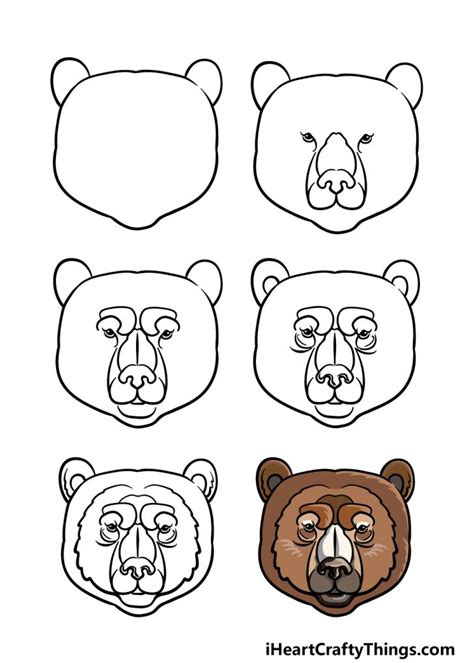 Bear Face Drawing - How To Draw A Bear Face Step By Step