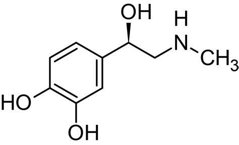 Epinephrine (Adrenaline), beta2 agonist (CAS 51-43-4) (ab142299) | Abcam