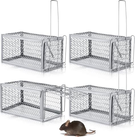 Amazon.com : Humane Chipmunk,Rat Trap That Works 12.5"x6.5"x5.5", Small Rodent,Squirrel Trap ...