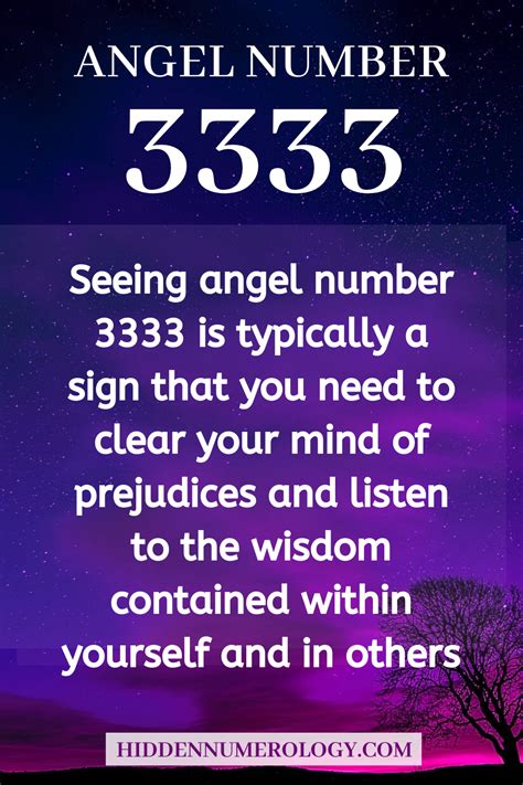 Angel Number 3333 and its hidden meanings | Numerology life path ...