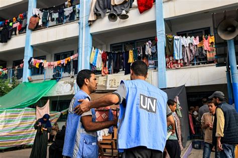 UNRWA: Staff killed in Gaza highest-ever UN toll | Al Mayadeen English