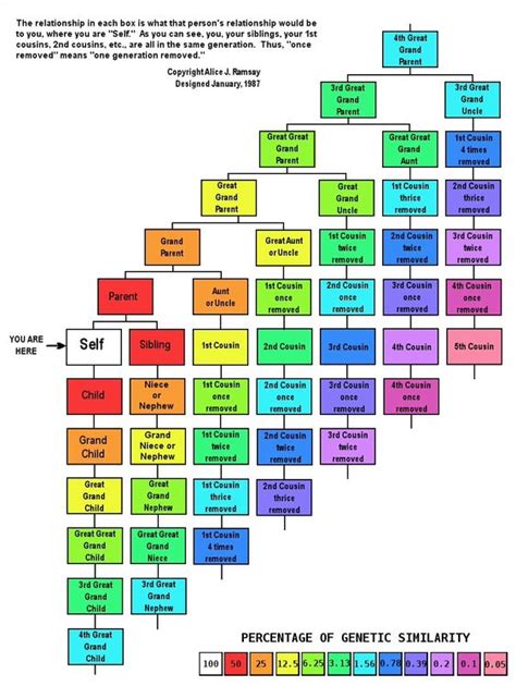 DNA For Beginners – Resources and Links for Research | Douglas County ...