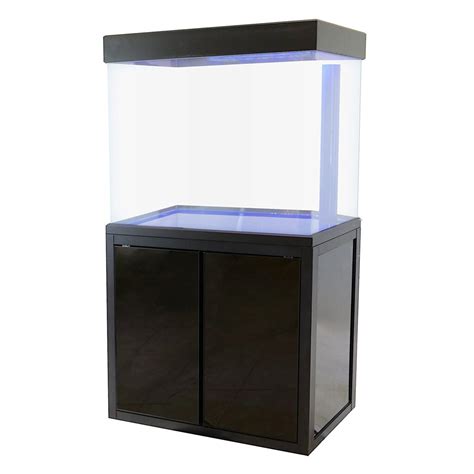 The Splendid World of 50 Gallon Fish Tank - Aquariumia